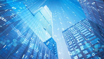 智慧城市建设中的桎梏与反思 以互联网数据服务为镜鉴