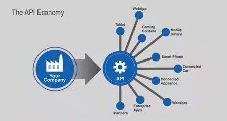 当API成为服务 互联网数据服务的新范式